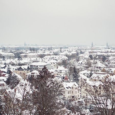 Bergwirtschaft Wilder Mann Hotel Und Restaurant Dresden Eksteriør bilde