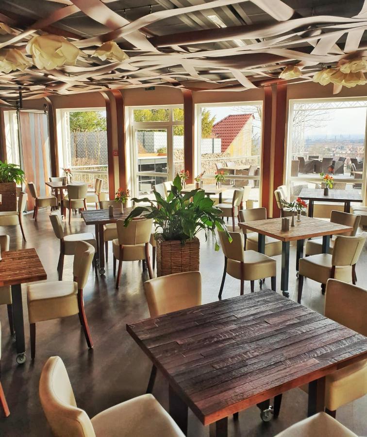Bergwirtschaft Wilder Mann Hotel Und Restaurant Dresden Eksteriør bilde