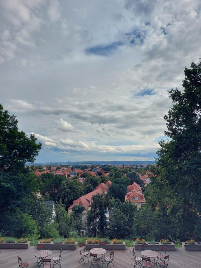 Bergwirtschaft Wilder Mann Hotel Und Restaurant Dresden Eksteriør bilde
